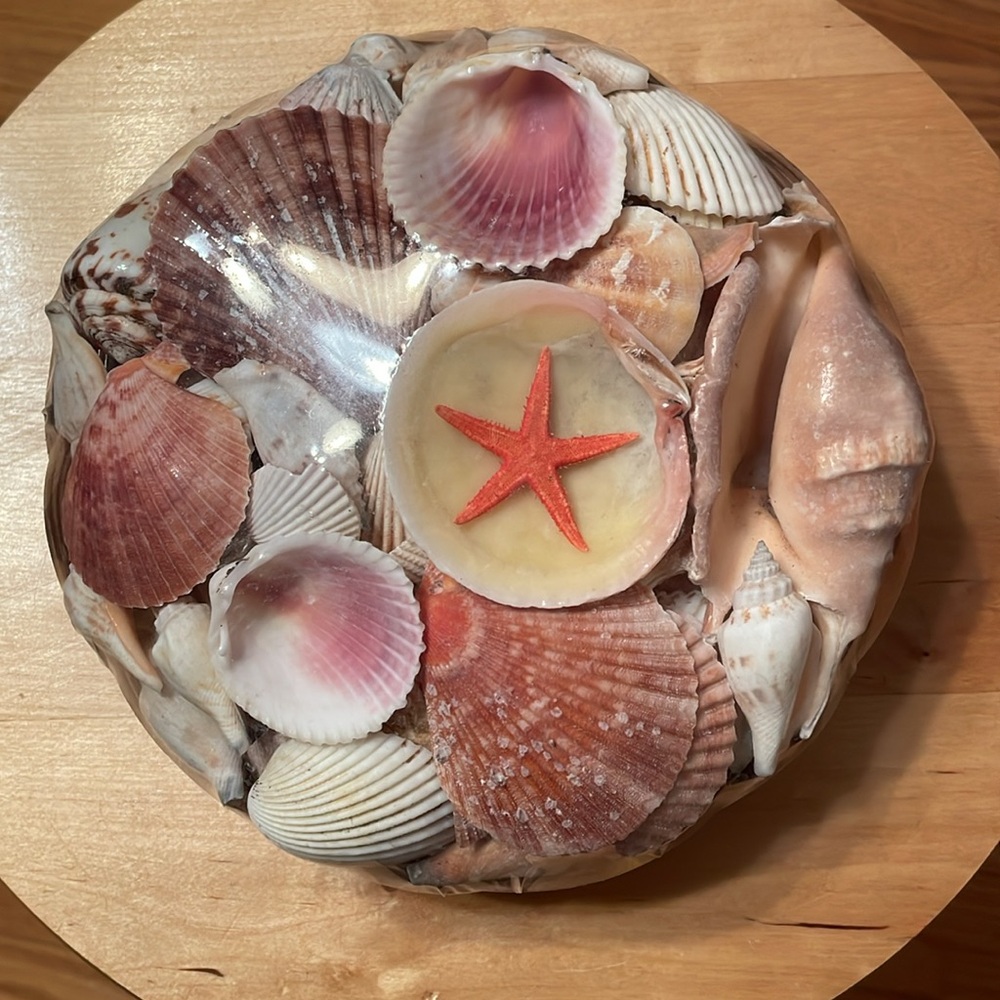 Shell Home Decor - Picture 3 of 9
